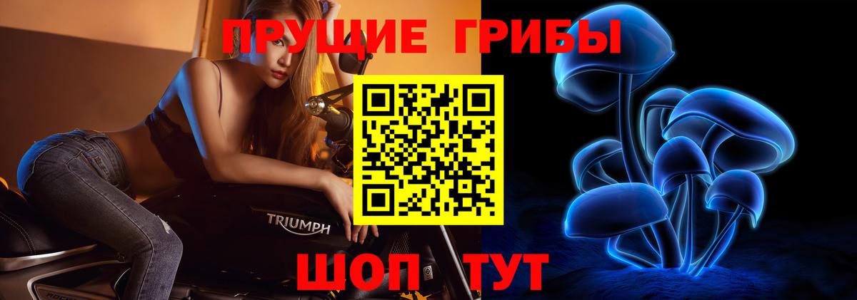 Галлюциногенные грибы MAGIC MUSHROOMS Новочеркасск