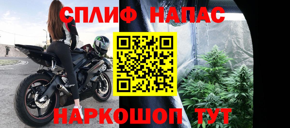 Канабис сатива  Шишки марихуана марихуана  Новочеркасск  Вход с VPN  Бошки марихуана LSD WEED  Каннабис Amnesia 